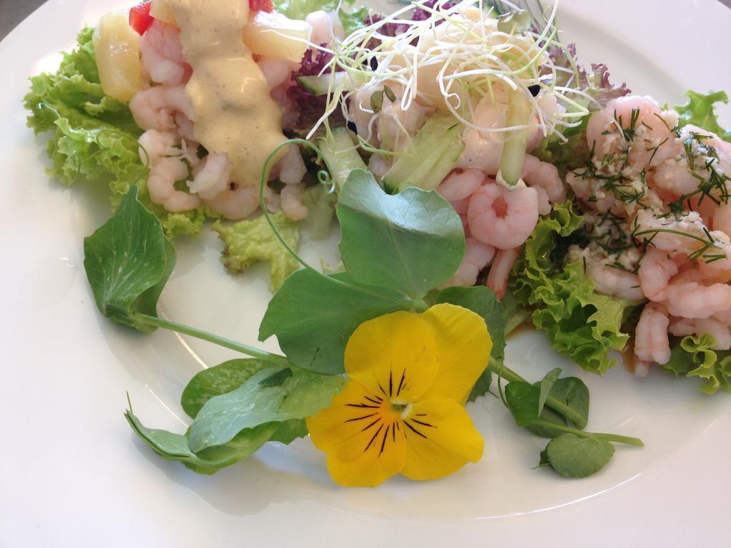 Solyst Kro- Restaurant Og Hotel I/S أبينرا المظهر الخارجي الصورة